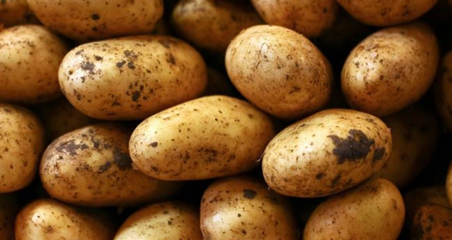 Australia suffering from a potato shortage after wet and cold weather